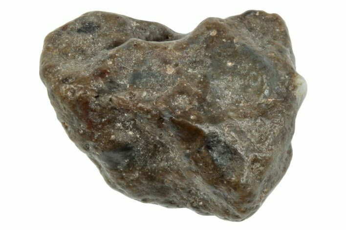 Lunar Meteorite ( g) - NWA #264152